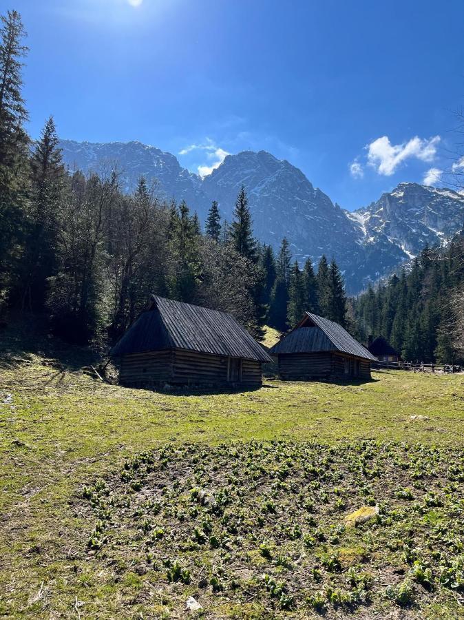 Kasprusie 10 By Homeprime Zakopane Esterno foto